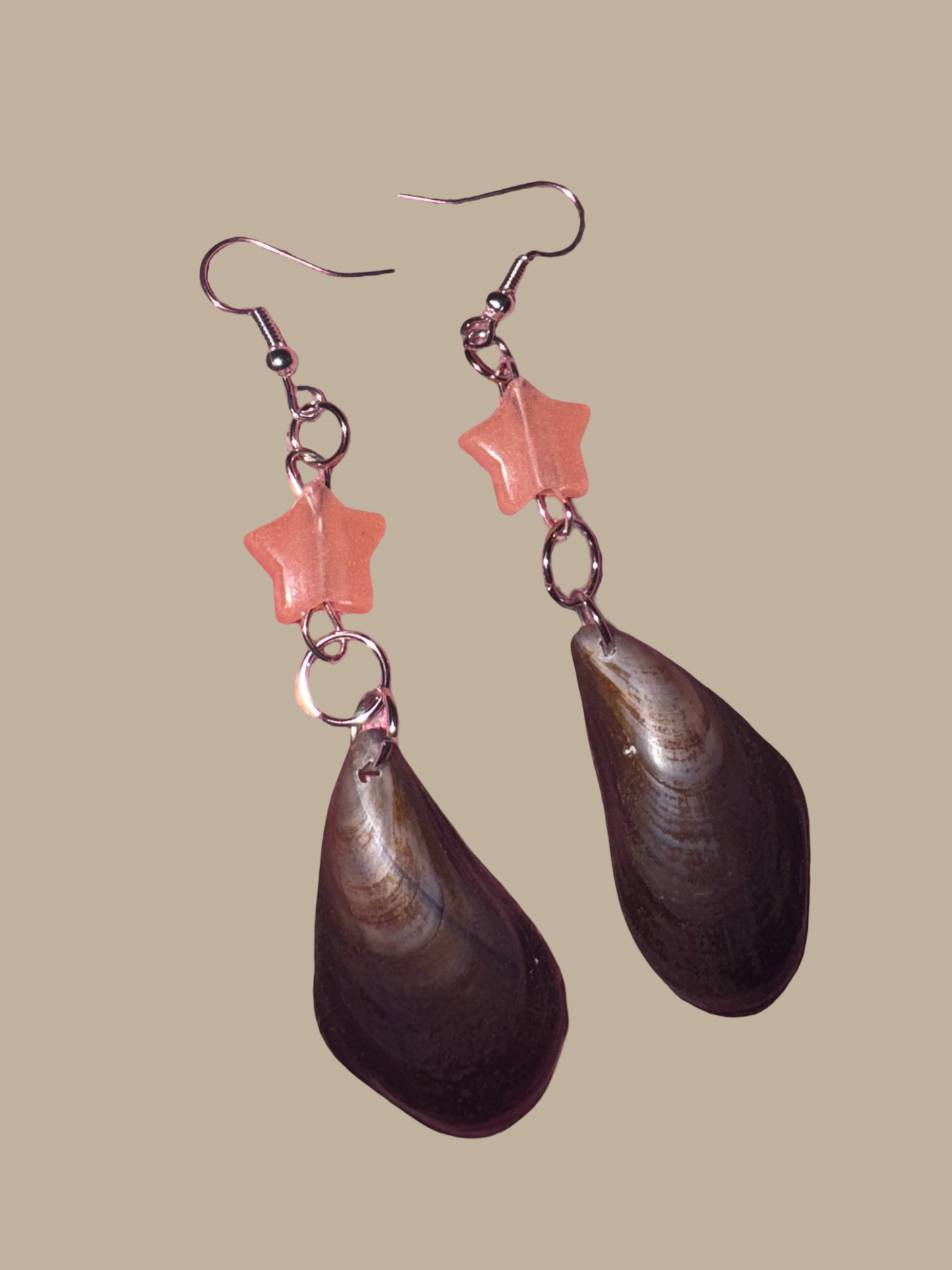 You’re a Star Earrings